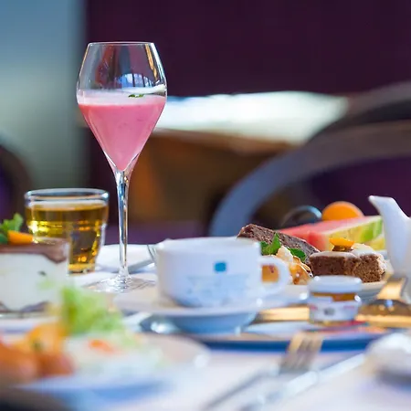 Aplaus Hotel Litomyšl